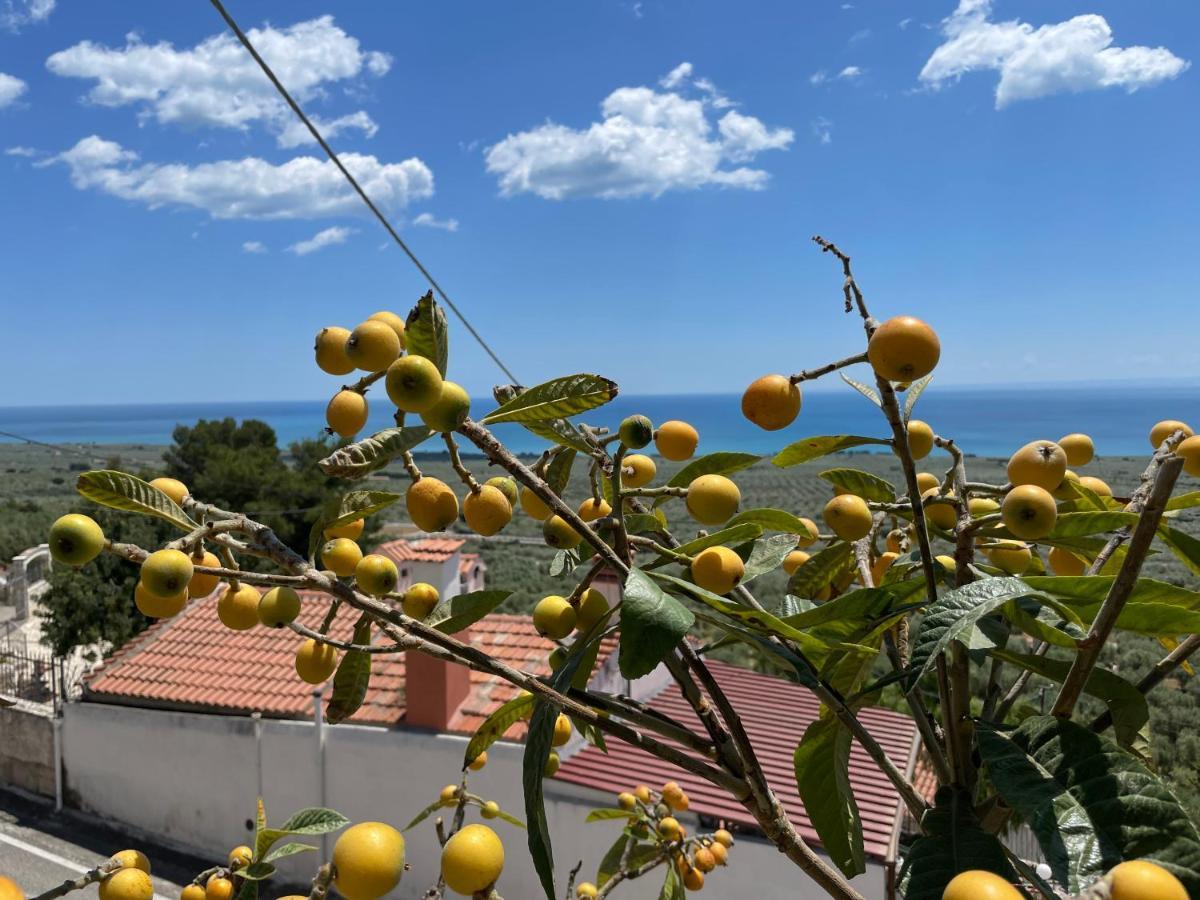 Villetta - Qui Dove Il Mare Luccica - Affitti Brevi Italia Monte Sant'Angelo Luaran gambar