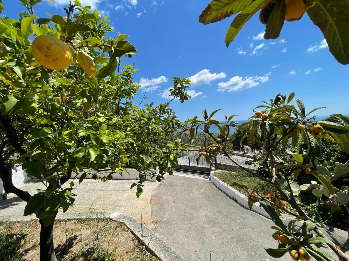 Villetta - Qui Dove Il Mare Luccica - Affitti Brevi Italia Monte Sant'Angelo Luaran gambar
