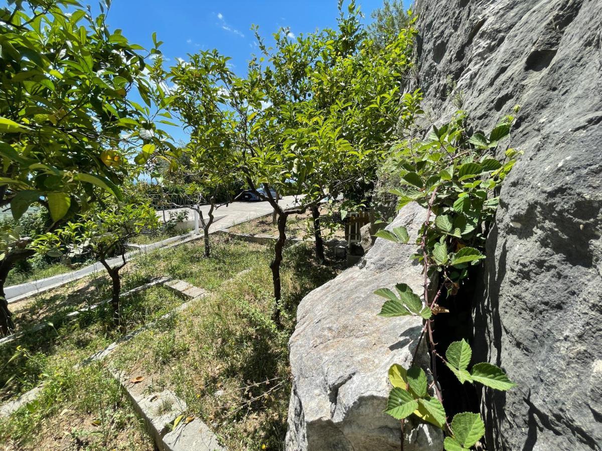 Villetta - Qui Dove Il Mare Luccica - Affitti Brevi Italia Monte Sant'Angelo Luaran gambar